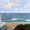 르컬렉티브속초해변 이미지