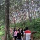 치유의 숲 이미지