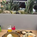 한솔푸드 | 더현대 대구 지하 1층 푸드코트 맛집: 한솔냉면 물냉면 세트 &amp; 정담솥밥 내돈내산 솔직 후기
