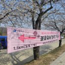 여의나루역 3번 출구 횡단보도 이미지