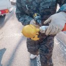 소사본3동주민센터 이미지