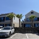 제주 서귀포 벨루아 이미지