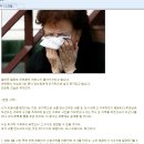 정선희~~이 잡아 죽일 년~~네 년은 사실을 밝히지 않으면 사지가 썩어 죽는다(안재환 누나가 정선희년에게 보내는 편지 내용.펌)| 이미지