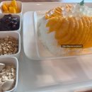 땡큐애견 이미지