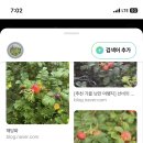정화다방 이미지