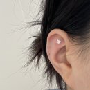 양성농협 주유소 이미지