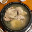 햇살농원 애견 이미지