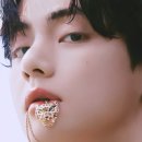 태형코리아 - 성남시 분당구 | 태형코리아