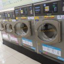 천곡초교 이미지