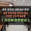 자연애 마트 | 경주 동네맛집 [자연애 참한밥상] 신선한 무한리필 반찬과 곤드레돌솥밥 식당