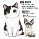 고양이 유산균 츄르 기호성 미친 간식 후기(feat.만수 먹방)