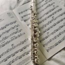 초등 플루트 이미지