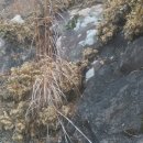 삼천포도서관 이미지