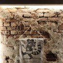 너구리 소굴 이미지