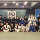 뉴웨이브 곡반 이미지