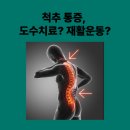 척추관절재활MSR메디센터 | [공지] 척추 질환, 아직도 도수치료에 돈을 낭비하십니까? &lt;판교 재활&gt;