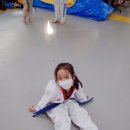 화이트 타이거 태권도 이미지