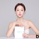 보떼로즈