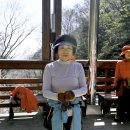 도사게이트볼장 이미지