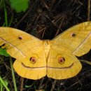 송월파크 이미지