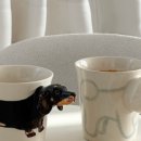 애니멀 하우스 이미지