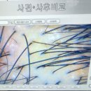 에비수헤어 성안본점 이미지