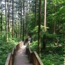 축령산 산소길(1구간) 이미지