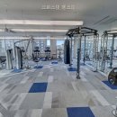 에스피정보 | 크로스핏 에스피 선택 전 볼 핵심 정보