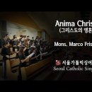 성인유해 순례미사에서.. (Anima Christi - Marco Frisina) 이미지