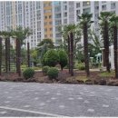 팔팔 공인중개사사무소 이미지