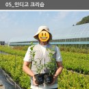 남부농자재 Daum카페