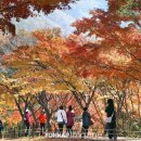 시나브로 이미지