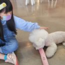 벨르시앙 이미지