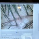 조지앙로르스파 | 서면롯데호텔스파 조지앙로르스파 서면두피케어 찾는다면 바로 이 곳