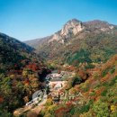 무릉계곡 이미지