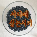 콩줌 이미지