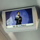 부산 데이식스 첫콘후기(흰여울마을, 영도 모모스, 미피카페)