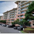 오크벨리 | 원주 오크벨리 리조트~간단 후기