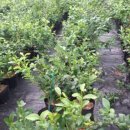 경기종묘사 이미지