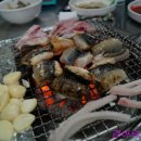 바다장어산꼼장어 이미지