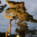 빠빠에피 이미지