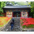 용천사