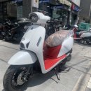 욜로모터스 이미지