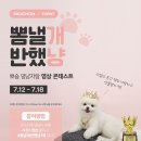 뽀숑뽀숑 이미지