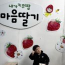 봉강가술로 | 마산 창원 딸기체험하기 좋은 내가키워팜 / 36개월 아기 창원 딸기 따기 체험