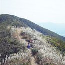 충남 보령 오서산(790m)15회 갑니다 이미지