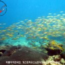 섬게스트하우스 이미지