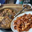 돈낙지 이미지