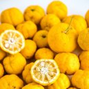 장유에너지 이미지