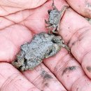 석두어촌체험마을(석두마을) 이미지